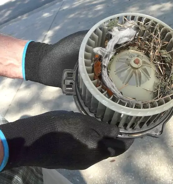 About Air Duct Rat Removal in San Mateo, CA